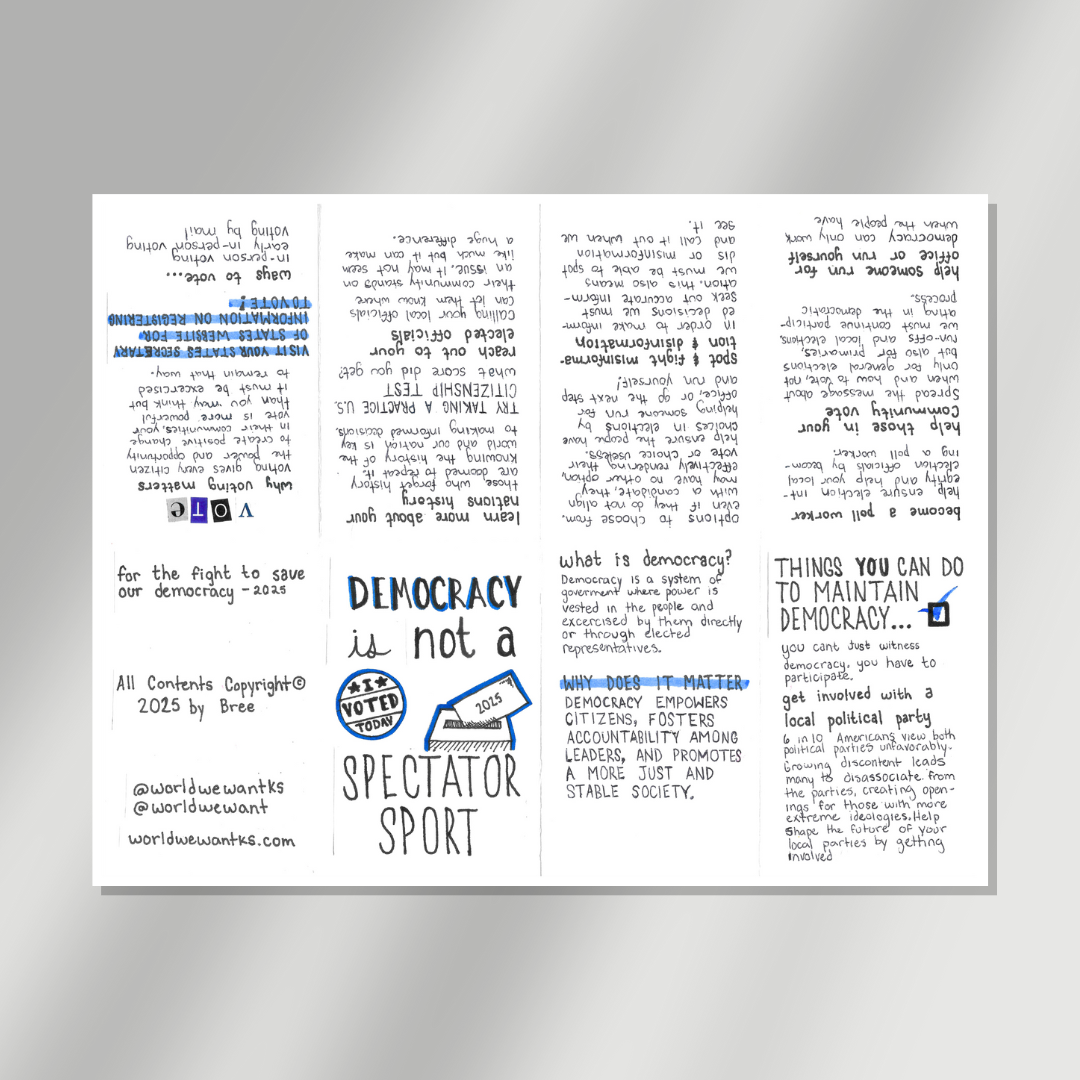 Democracy is not a Spectator Sport Mini-Zine